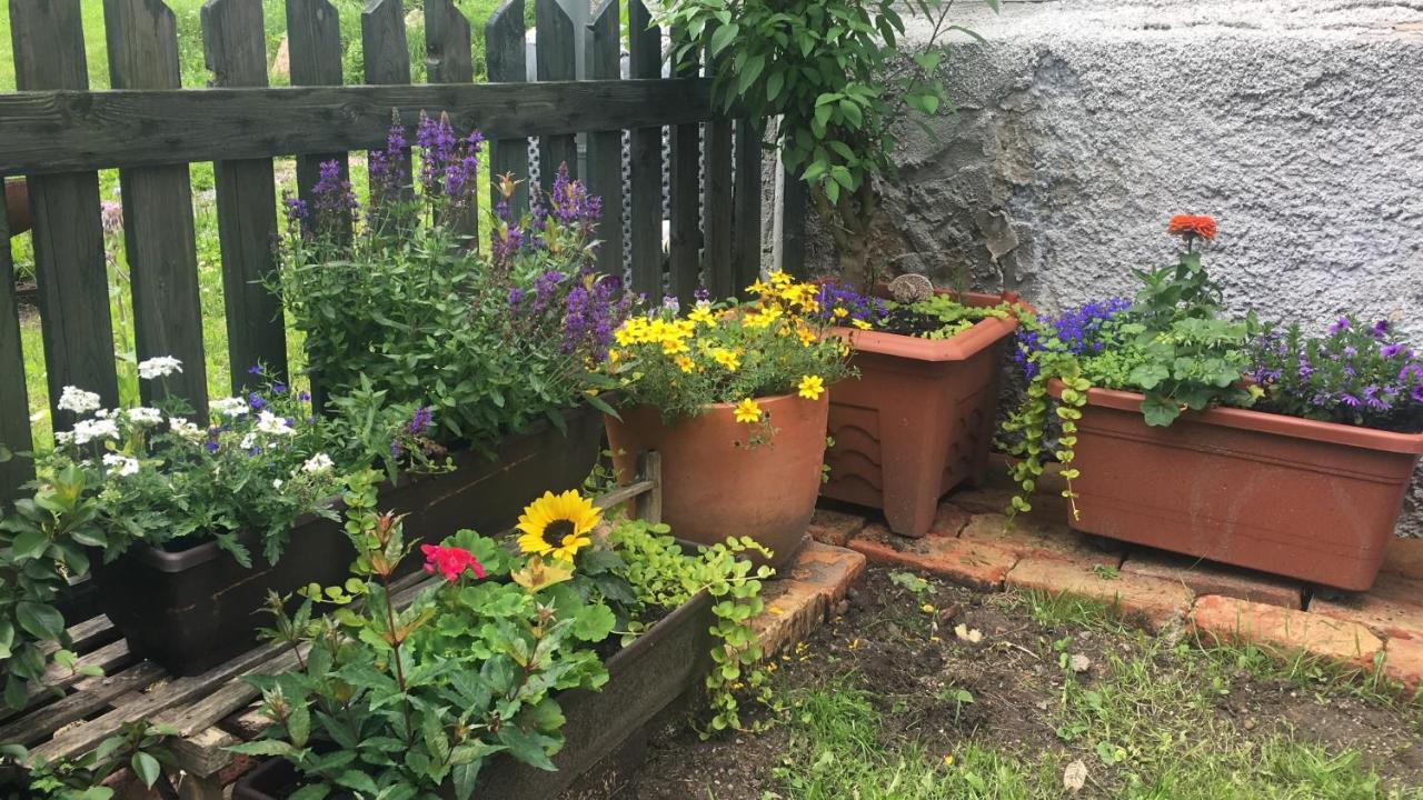 Apartmán Hájovna Svahová Bolebor Exteriér fotografie