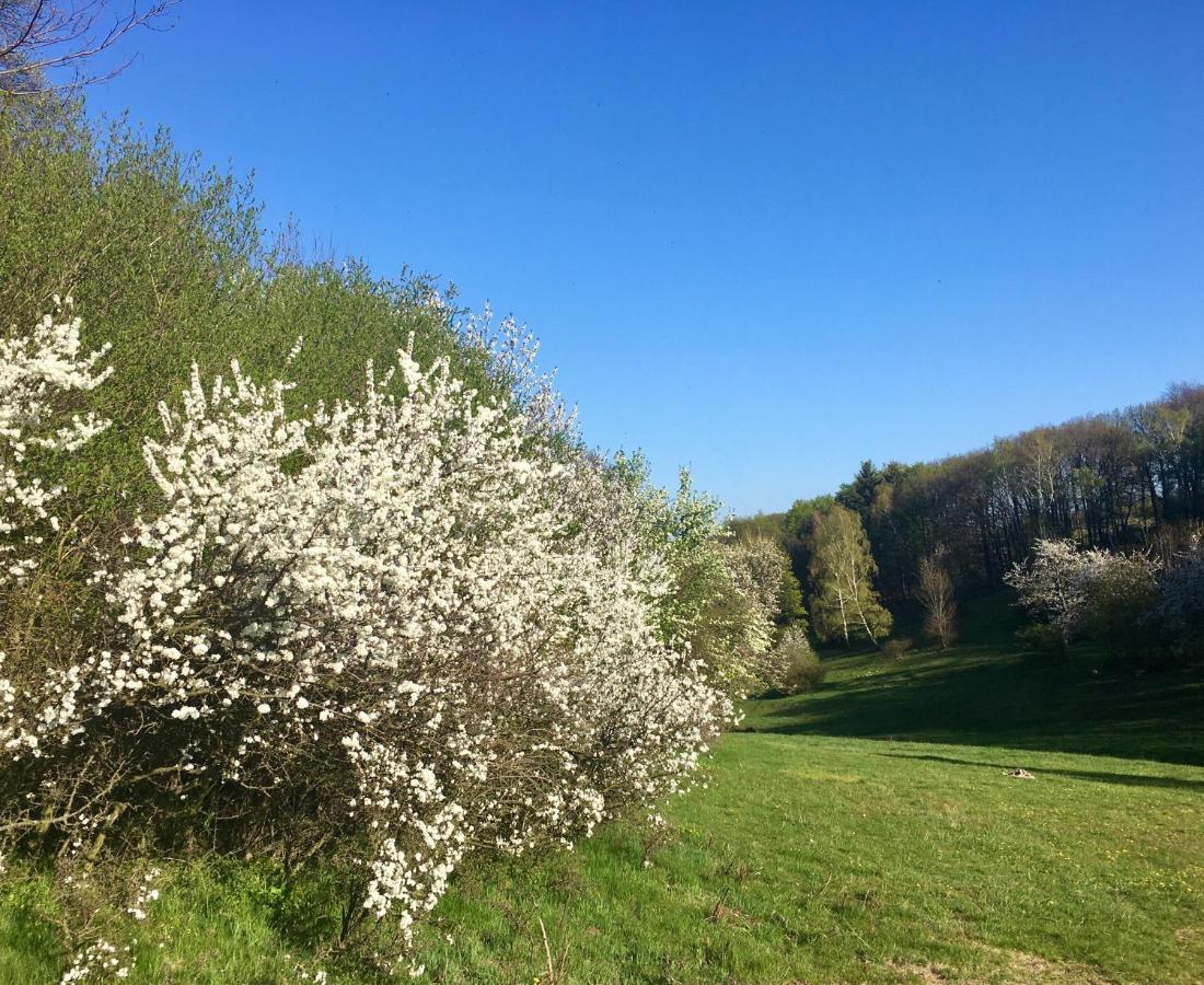 Apartmán Hájovna Svahová Bolebor Exteriér fotografie